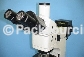 光學檢測儀器 >> 金相顯微鏡 >> 金相顯微鏡  MD-100